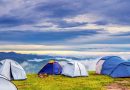 Camping à Camargue : quelles sont les erreurs à éviter ?