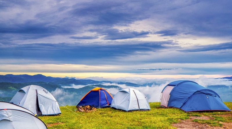 Camping à Camargue : quelles sont les erreurs à éviter ?