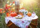 Le panier pique-nique en osier : un indémodable pour vos sorties en plein air