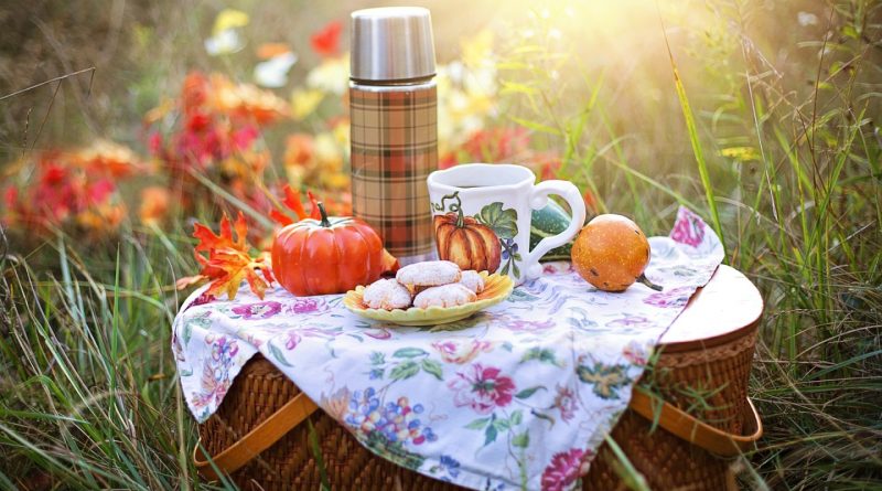 Le panier pique-nique en osier : un indémodable pour vos sorties en plein air