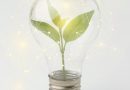 Optez pour un fournisseur d’électricité verte : un geste pour l'environnement !