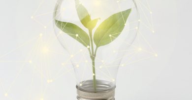 Optez pour un fournisseur d’électricité verte : un geste pour l'environnement !