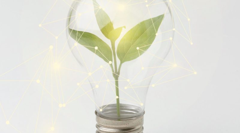 Optez pour un fournisseur d’électricité verte : un geste pour l'environnement !