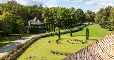 Maison à Carcassonne : pourquoi choisir un paysagiste expérimenté de la région pour vos espaces verts ?