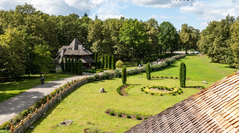 Maison à Carcassonne : pourquoi choisir un paysagiste expérimenté de la région pour vos espaces verts ?