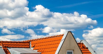 Démoussage de toiture à Toulouse : pourquoi et quand le réaliser ?