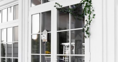 Fenêtres à Chambéry : quel matériau privilégier pour un choix durable ?