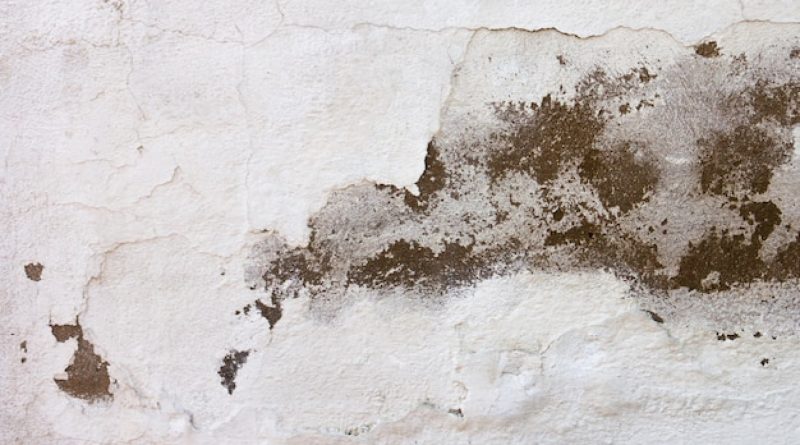 Stopper les remontées capillaires efficacement : solutions et points clés