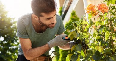 Service de jardinage à domicile : une aubaine pour les grands jardins