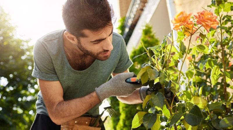 Service de jardinage à domicile : une aubaine pour les grands jardins