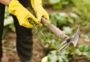 Services de jardinage à domicile : solutions sur-mesure pour chaque jardin