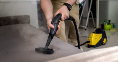 Nettoyeur vapeur : la solution idéale pour un canapé propre et sain